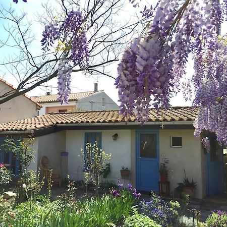 La Campagne Dans La Ville Narbonne Ngoại thất bức ảnh