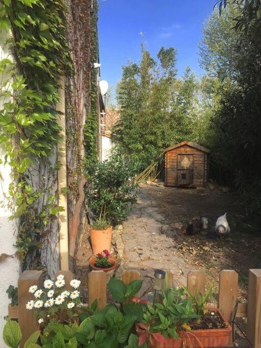 La Campagne Dans La Ville Narbonne Ngoại thất bức ảnh