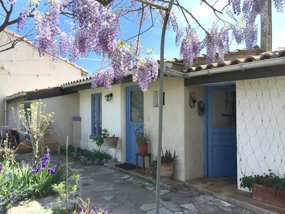 La Campagne Dans La Ville Narbonne Ngoại thất bức ảnh