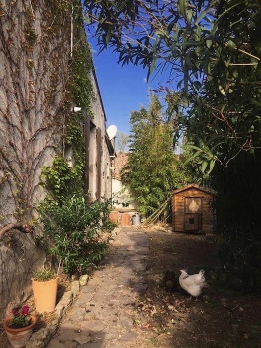 La Campagne Dans La Ville Narbonne Ngoại thất bức ảnh