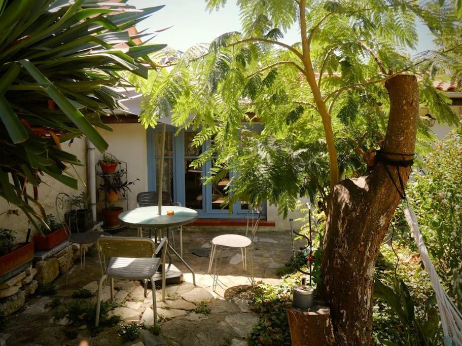 La Campagne Dans La Ville Narbonne Ngoại thất bức ảnh