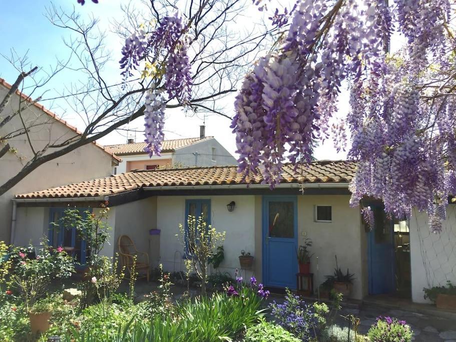 La Campagne Dans La Ville Narbonne Ngoại thất bức ảnh